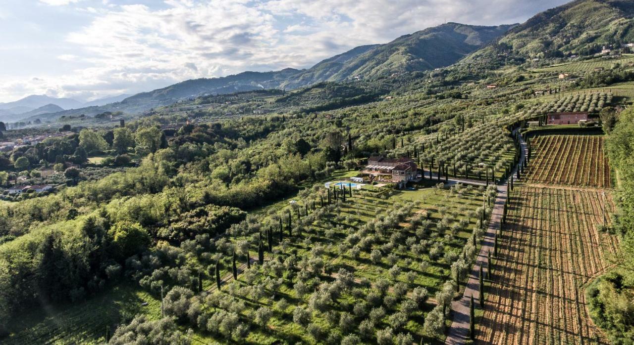 Accogliente Alloggio Con Vista E Piscina Лука Екстериор снимка